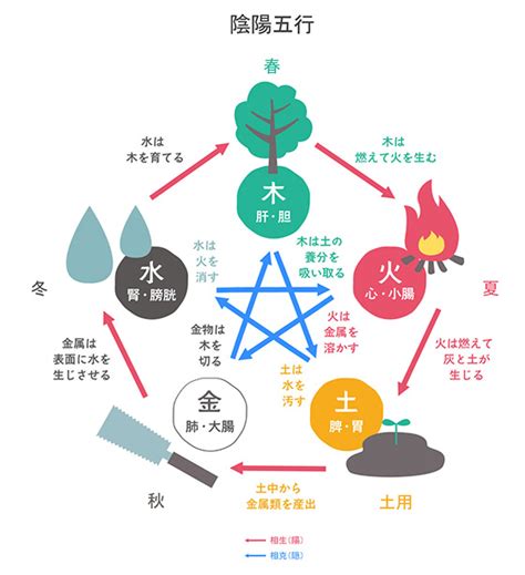 いんとよう|陰陽五行思想